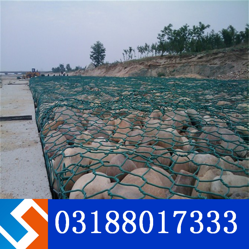 雷諾護墊和賓格籠是一個產(chǎn)品嗎? 雷諾護墊和賓格籠是一個產(chǎn)品嗎?