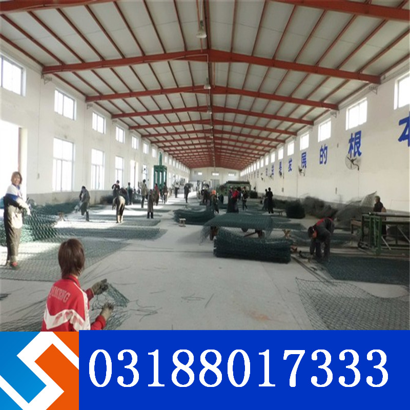 雷諾護墊和賓格籠是一個產(chǎn)品嗎? 雷諾護墊和賓格籠是一個產(chǎn)品嗎?