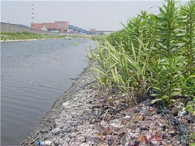 ʯ\W(wng)ؑcТϪˮ쑪